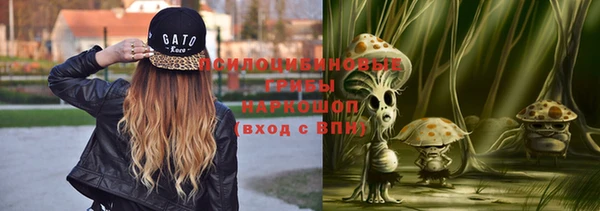 гидропоника Алзамай