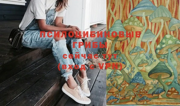 твердый Алексин