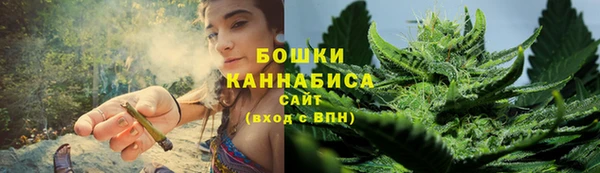 гидропоника Алзамай