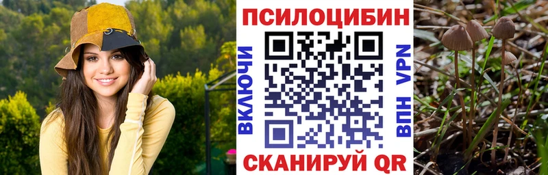 Псилоцибиновые грибы GOLDEN TEACHER как найти Слободской