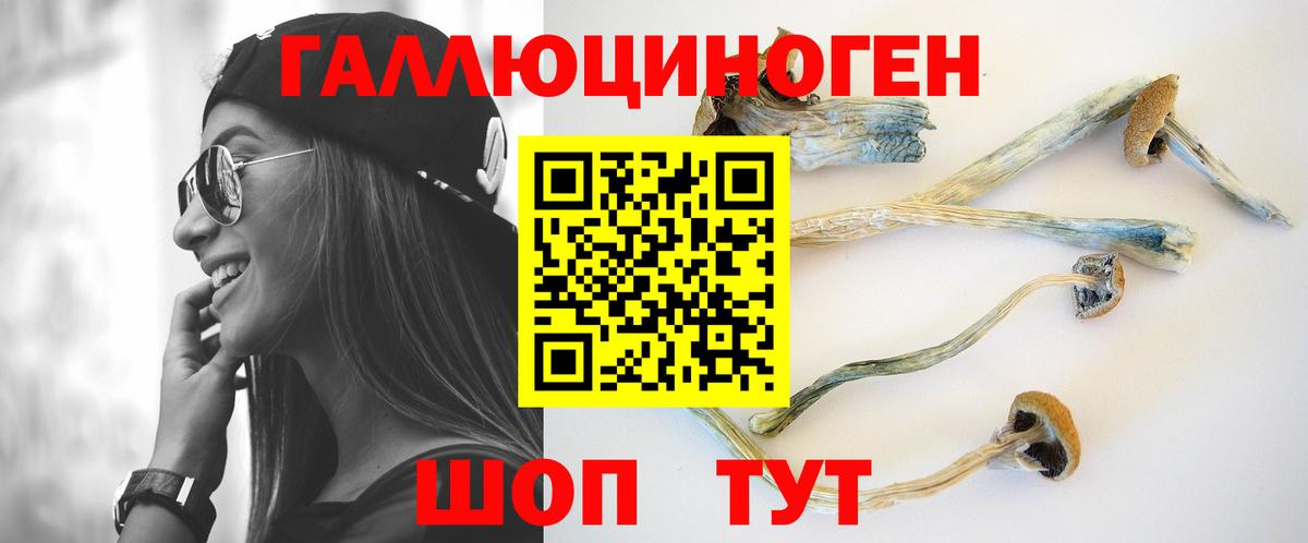 Псилоцибиновые грибы мицелий Слободской